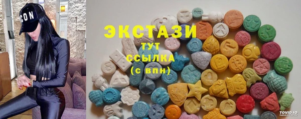 стафф Гатчина