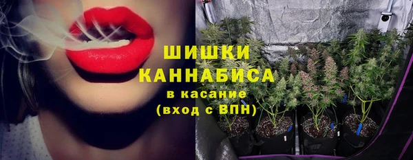 мяу мяу мука Бородино