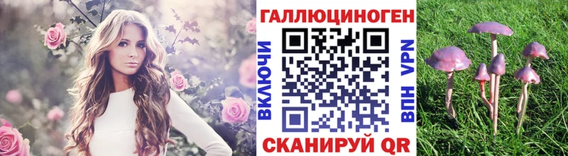 Псилоцибиновые грибы Magic Shrooms Коммунар